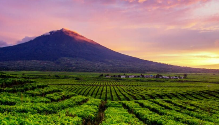 Gunung Kerinci Sebagai Salah Satu Tempat Mendaki Terbaik