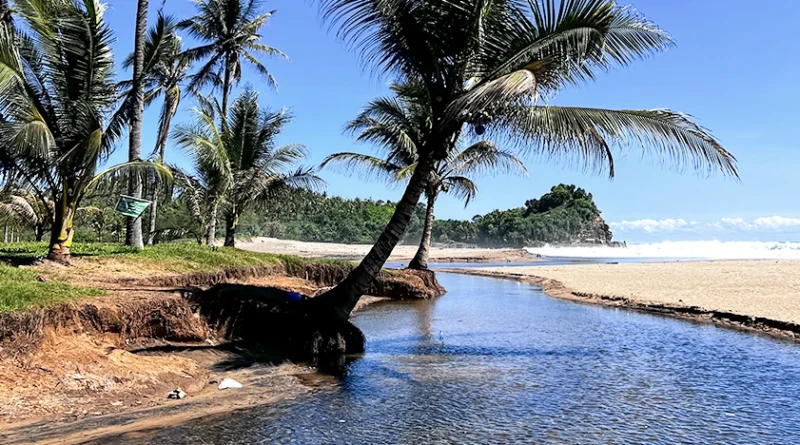 Pantai Wonogoro Di Malang: Daya Tarik Dan Mitos