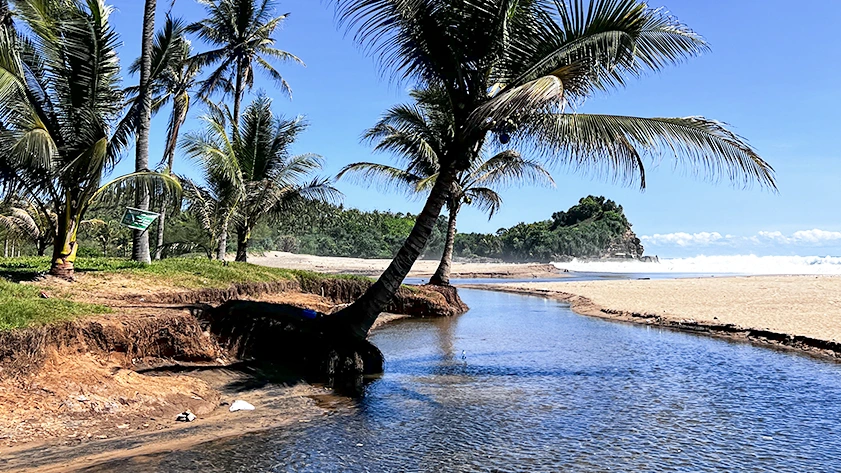 Pantai Wonogoro Di Malang: Daya Tarik Dan Mitos