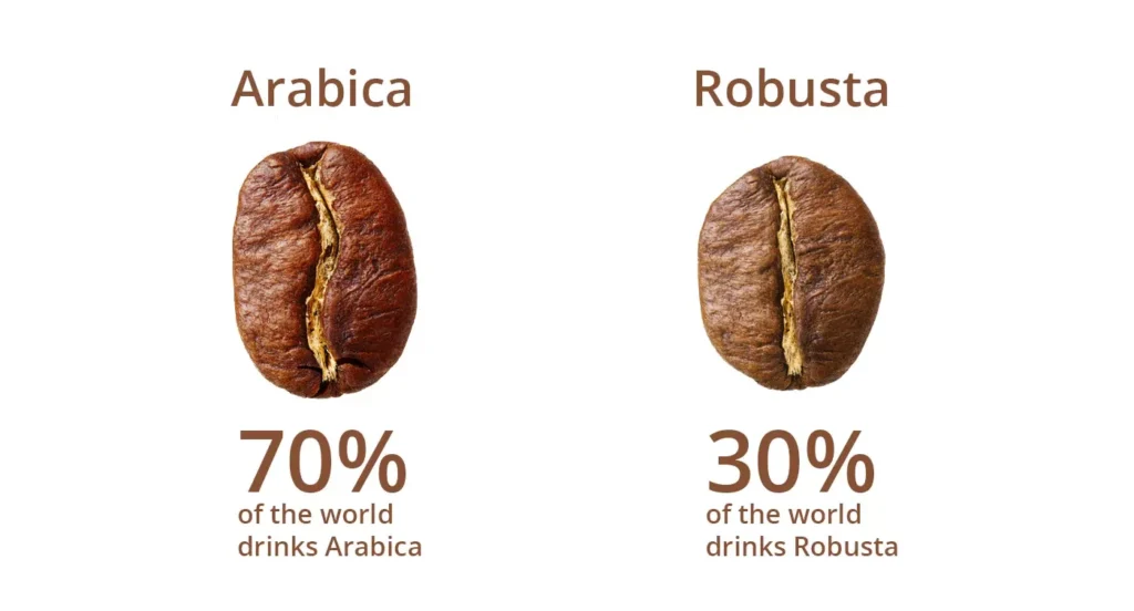 Menelusuri Varietas Kopi : Apa Itu Arabika Dan Robusta