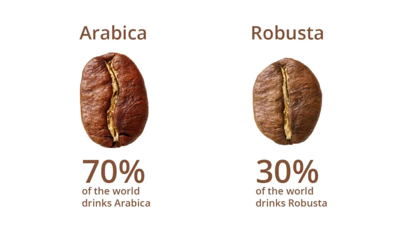 Menelusuri Varietas Kopi : Apa Itu Arabika Dan Robusta