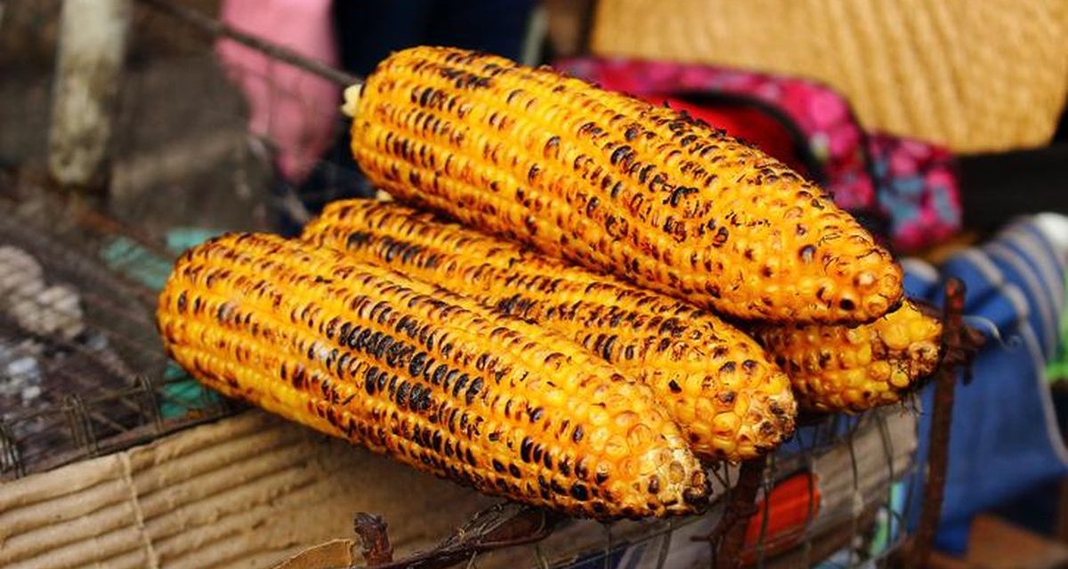 Jagung Bakar, Makanan Nostalgia Yang Bikin Rindu Dan Lezat