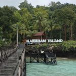 Pulau Kakaban, Surga Indah dengan Danau Ubur-Ubur Purba