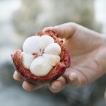 Buah Manggis Memiliki Banyak Manfaat Untuk Kesehatan