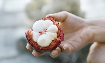 Buah Manggis Memiliki Banyak Manfaat Untuk Kesehatan