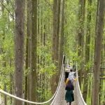 Hutan Kertas Karawang Ada Flora Dan Fauna Harus Di Lestarikan