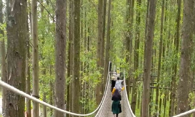 Hutan Kertas Karawang Ada Flora Dan Fauna Harus Di Lestarikan