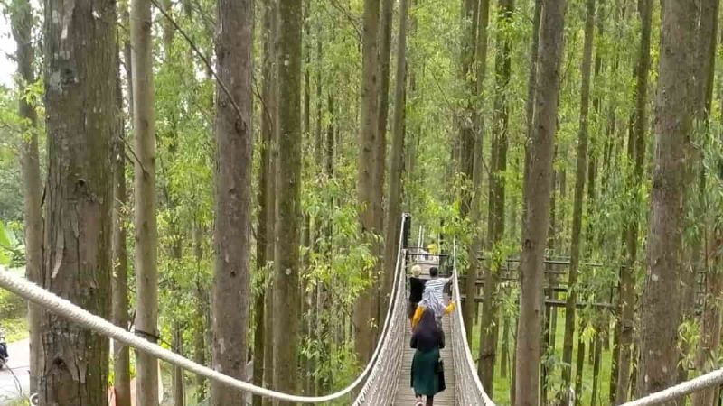 Hutan Kertas Karawang