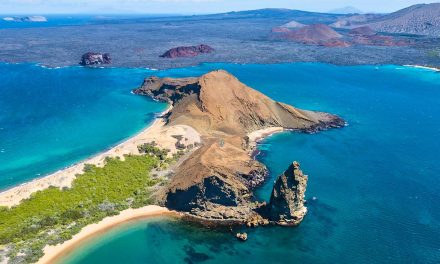 Kepulauan Galápagos Terkenal Karena Keanekaragaman Hayati