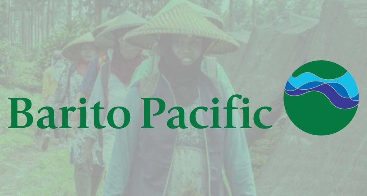 Saham BRPT Diversifikasi Bisnis Dan Peluang Jangka Panjang