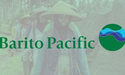 Saham BRPT Diversifikasi Bisnis Dan Peluang Jangka Panjang