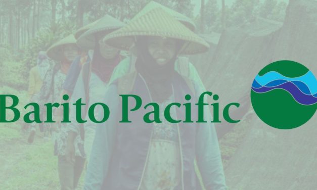Saham BRPT Diversifikasi Bisnis Dan Peluang Jangka Panjang