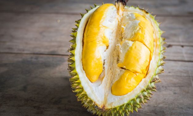 Buah Durian, Raja Buah Yang Sangat Di Sukai Banyak Orang