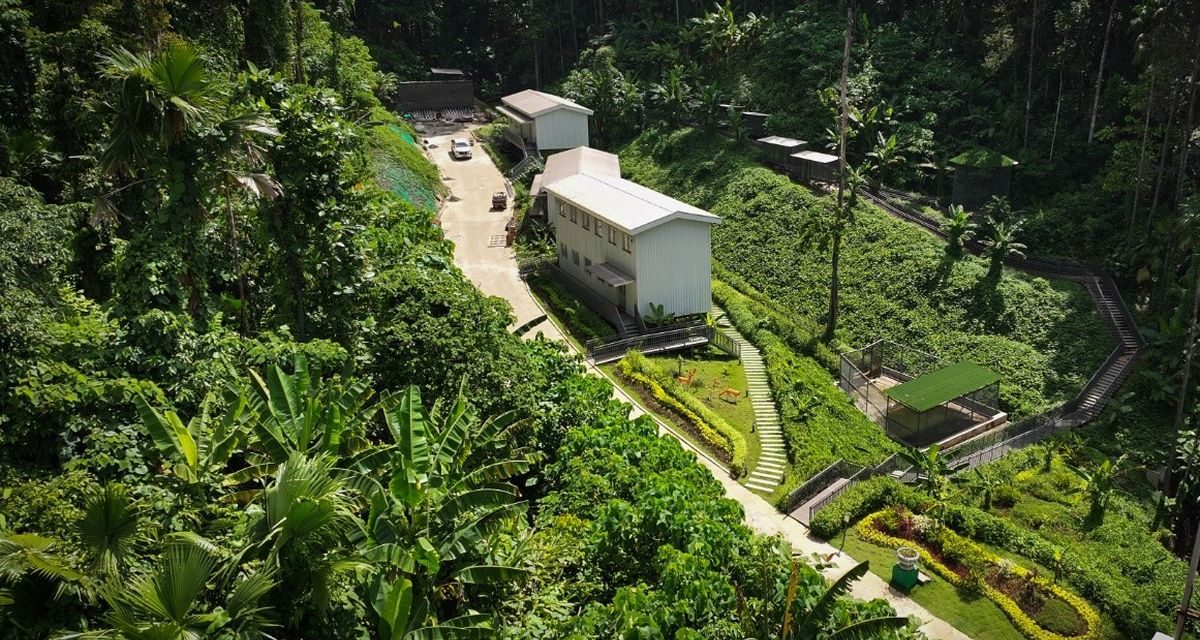 Hutan Sancang Ekosistem Unik Tempat Flora Dan Fauna Endemik