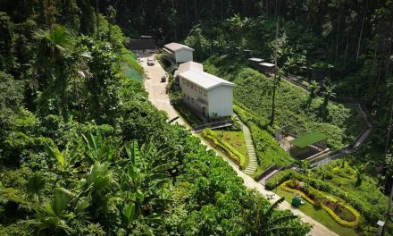 Hutan Sancang Ekosistem Unik Tempat Flora Dan Fauna Endemik