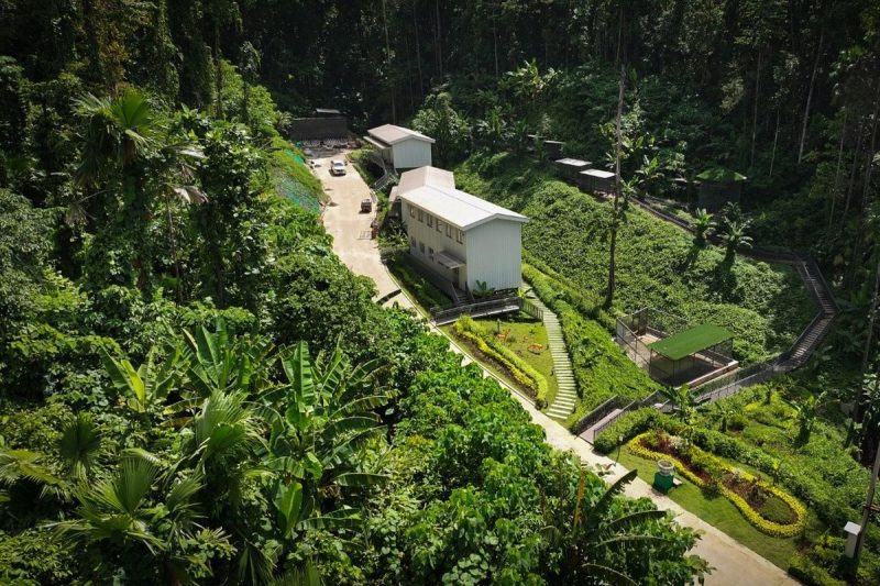 Hutan Sancang